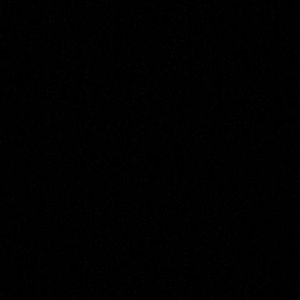 Meet your Posher, Camirynn